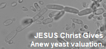 http://0www.20m.com/jesusoveryeast.png